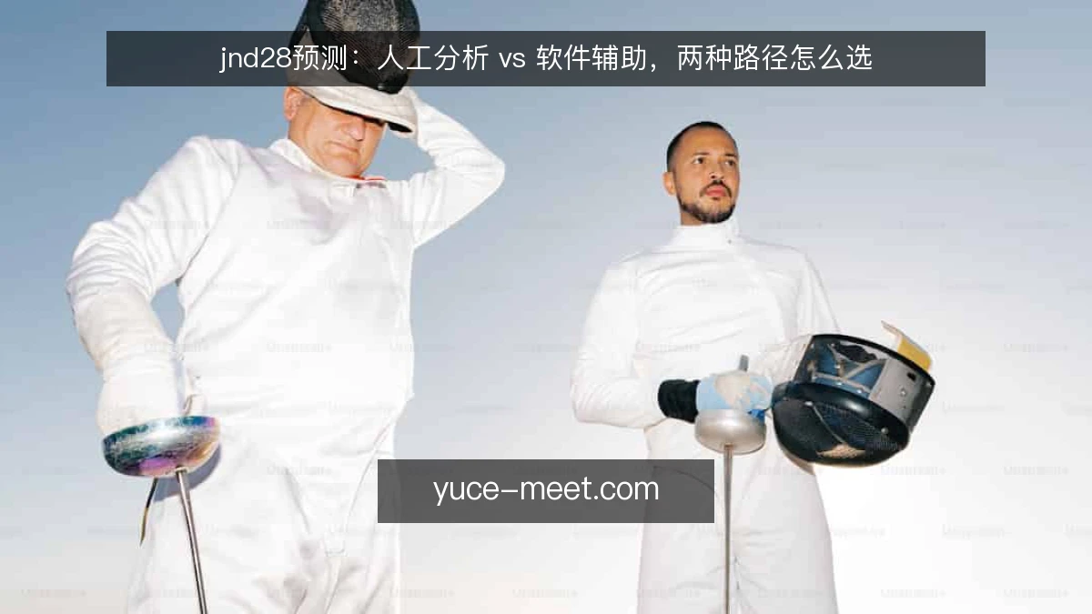 jnd28预测:人工分析 vs 软件辅助,两种路径怎么选