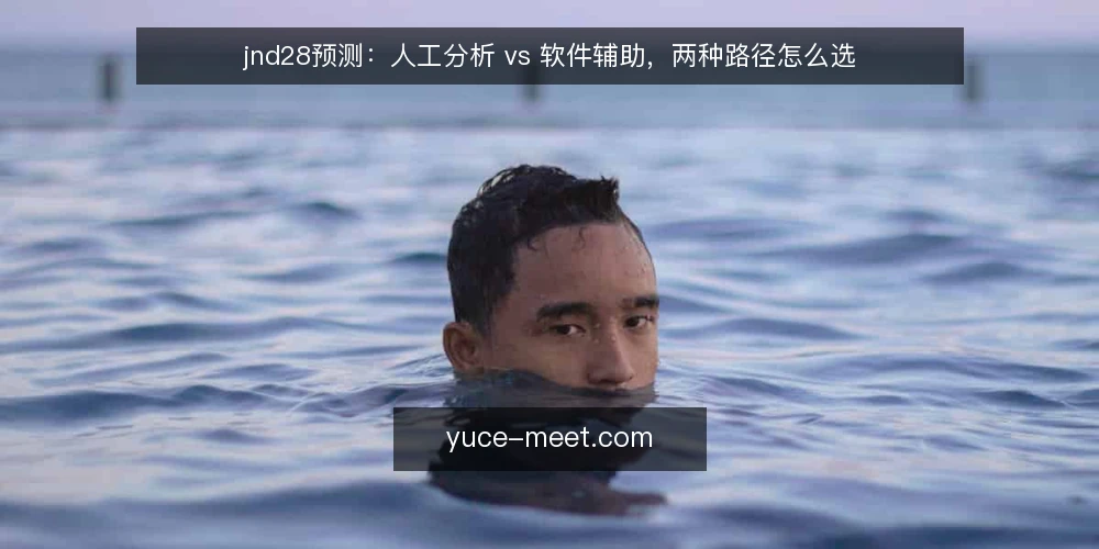 jnd28预测:人工分析 vs 软件辅助,两种路径怎么选 — 先定评估标准:你在选什么 配图